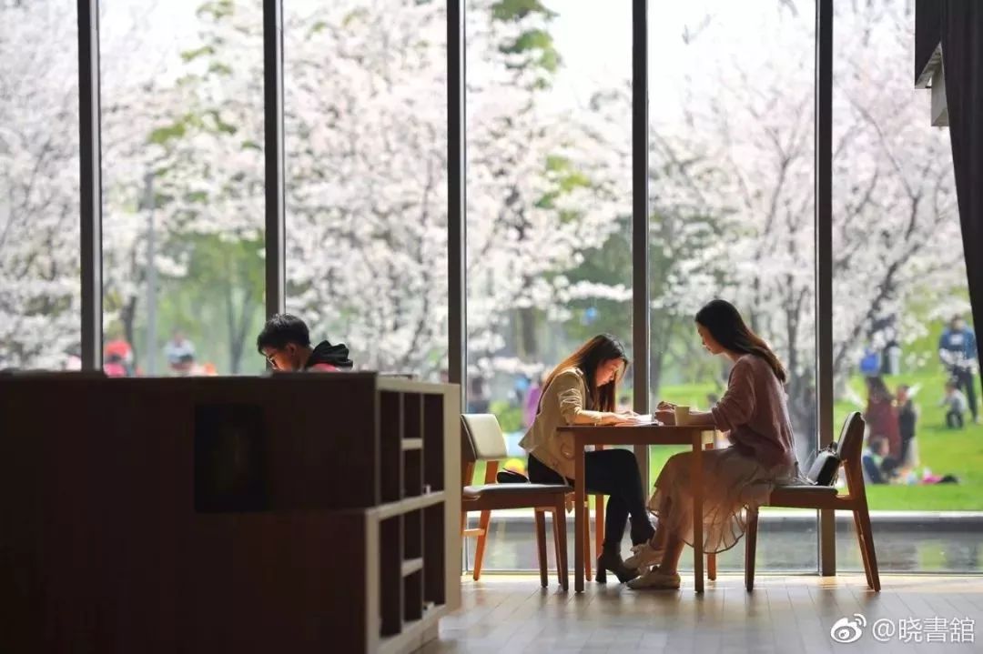 中國(guó)5個(gè)最美圖書(shū)館:閱讀心靈的桃花源