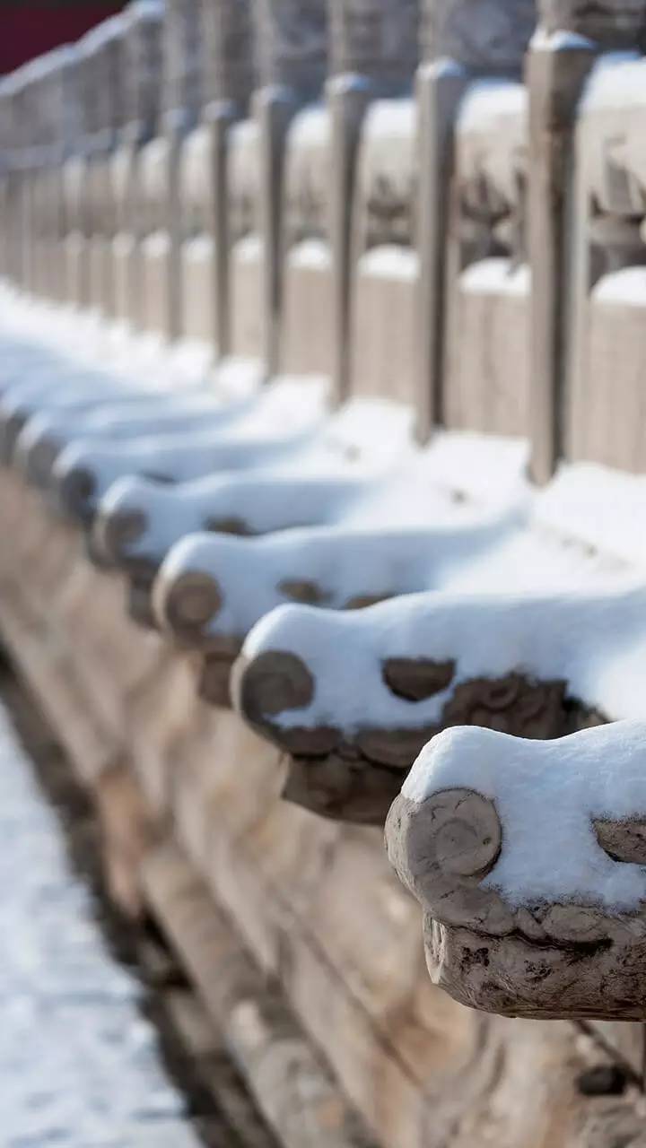最美中國古建筑：紫禁城下雪了！