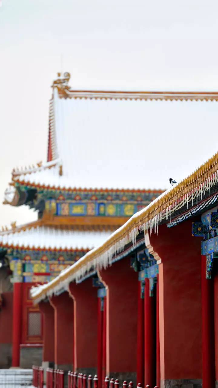 最美中國古建筑：紫禁城下雪了！