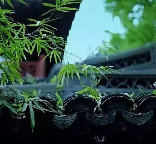 古建筑，一片瓦，遮風(fēng)擋雨