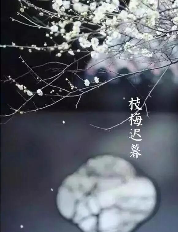 雨水：天生一水，散而為雨