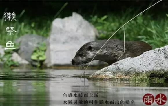 雨水：天生一水，散而為雨
