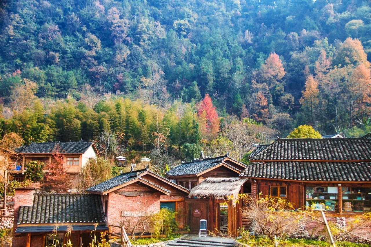 張家界·五號山谷，山谷在重生！