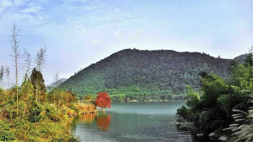 莫干山·宿里，一處桃花源建一處詩意棲居之所