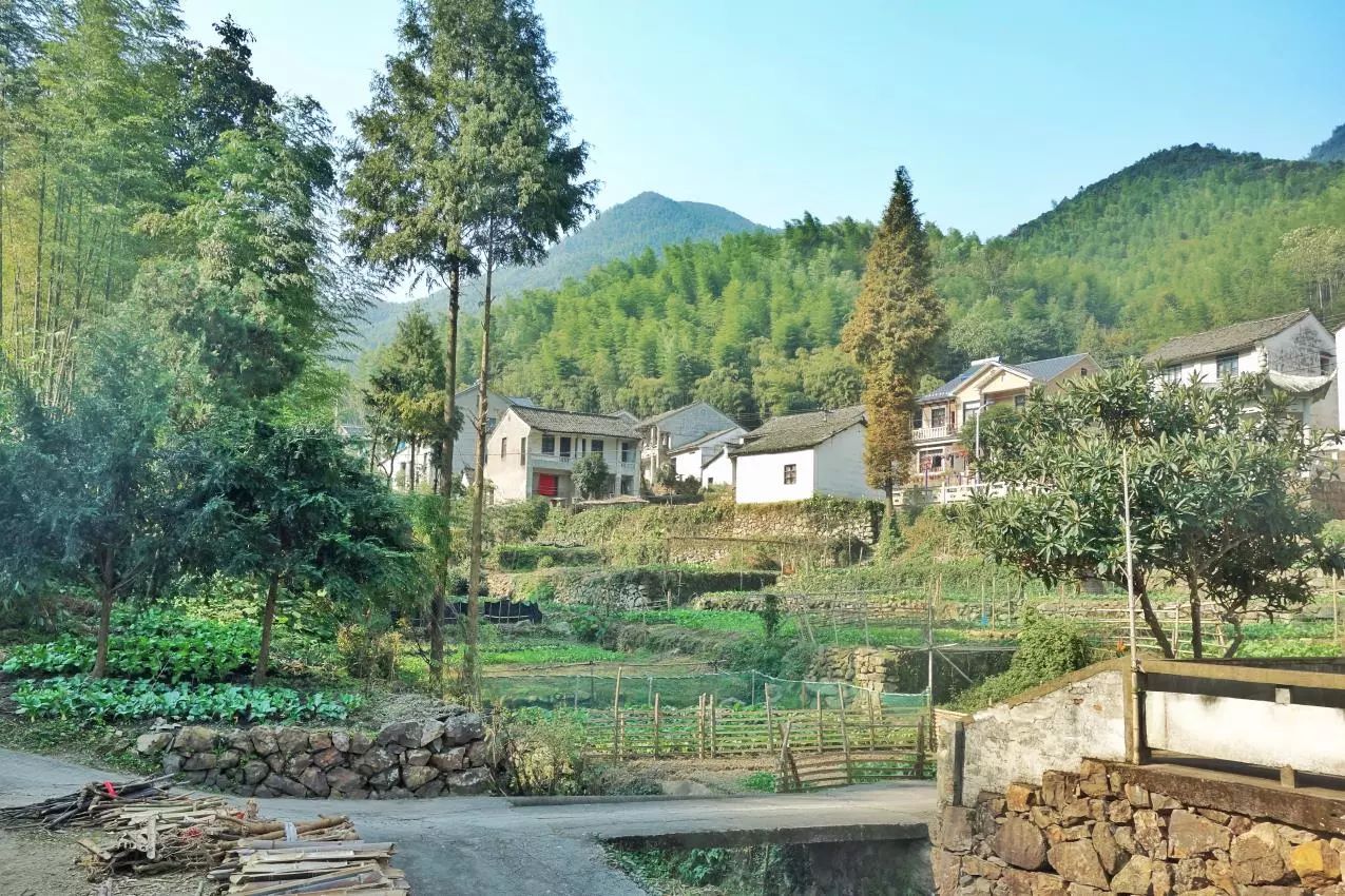莫干山·宿里，一處桃花源建一處詩意棲居之所