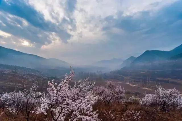 北京·山楂小院，留住最土的鄉(xiāng)味和溫暖的人心