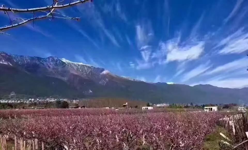 麗江束河聚寶齋民宿，告別曾經(jīng)邂逅未來(lái)的美麗