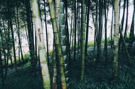 宛若故里，來(lái)麗江古城住最美民宿