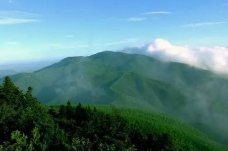 客堂間莫干山民宿，隱居深山聆聽自然