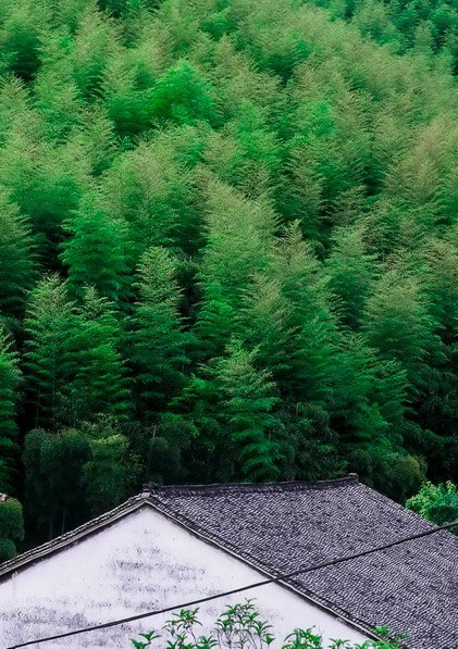 客堂間莫干山民宿，隱居深山聆聽(tīng)自然