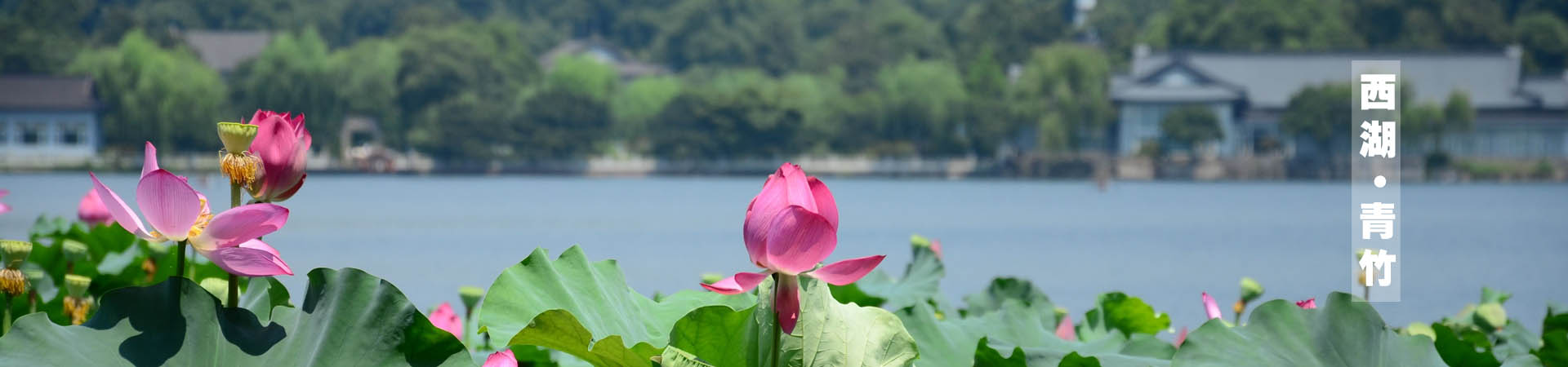 青桐·青竹茶舍，茶香縹緲靜賞西湖