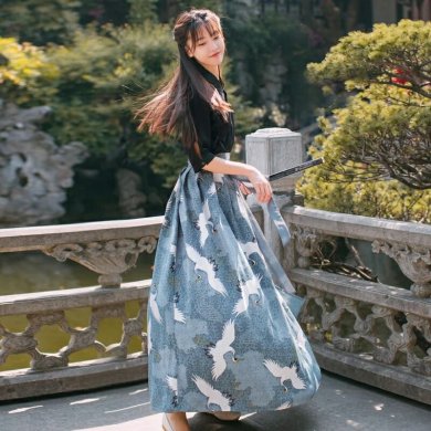 中國風(fēng)江南素兮漢服，復(fù)古套裙?jié)h服圖片