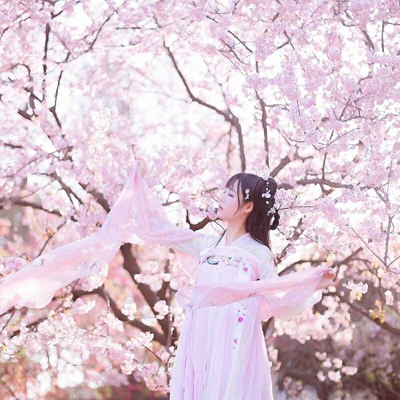 傳統(tǒng)華夏粉色漢服，漢元素清新淡雅漢服圖片
