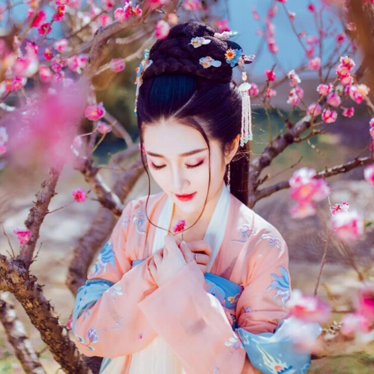 復(fù)古漢服齊胸襦裙，新款繡花漢服美女圖片