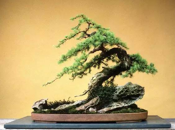 花香滿溢，唯美花藝設(shè)計(jì)！