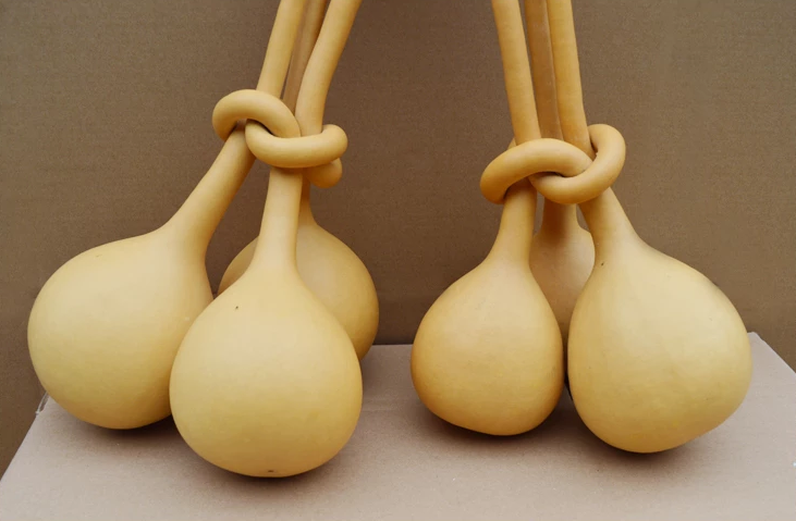 驚呆了，造型獨(dú)特的葫蘆工藝品