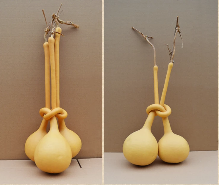 驚呆了，造型獨(dú)特的葫蘆工藝品