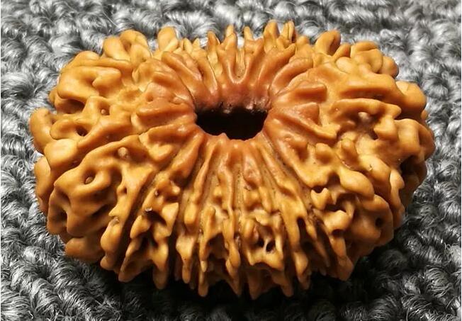 大金剛菩提子幾瓣的好？十七瓣金剛菩提子寓意