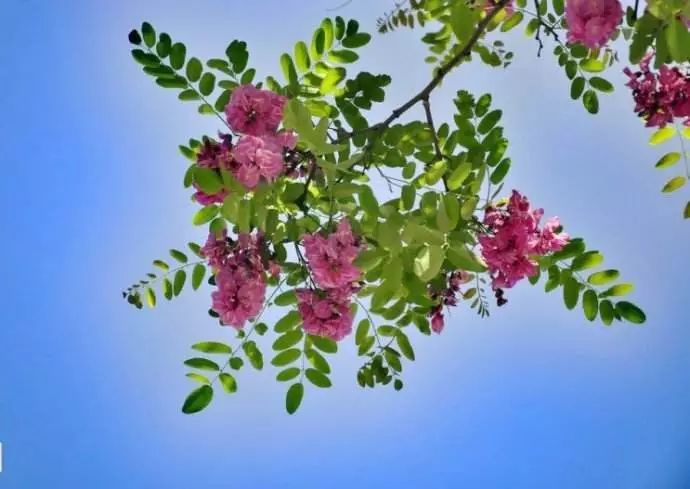 小滿節(jié)氣，人生小滿