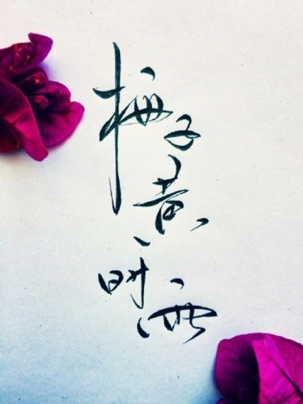 別致新穎的書法字體，美的很有意境！