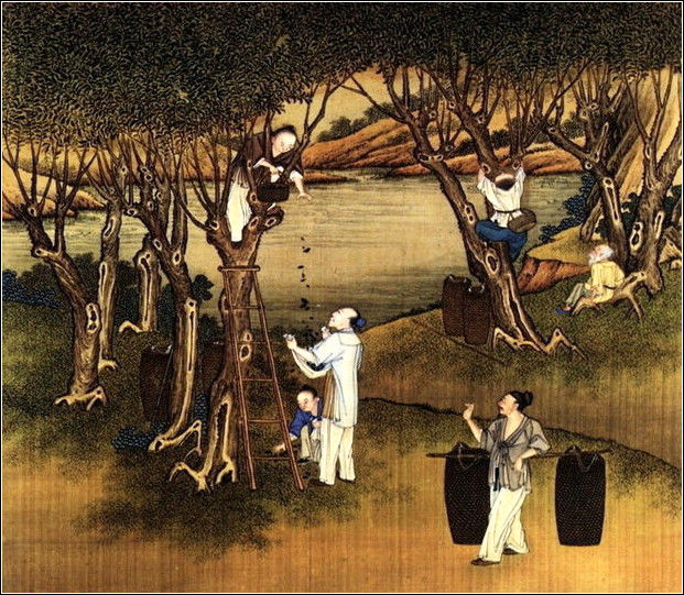 中國(guó)24節(jié)氣古畫圖，超美國(guó)畫插畫欣賞
