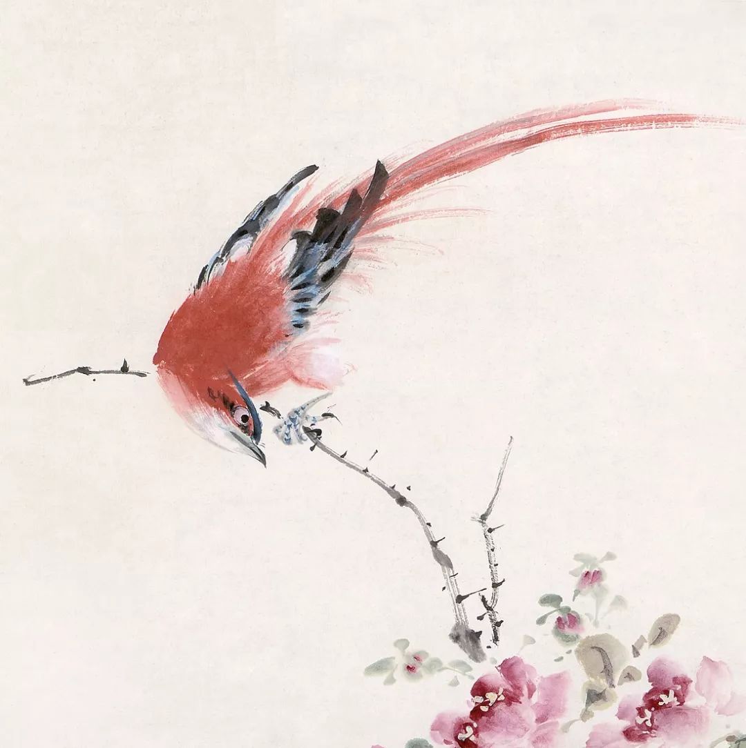 100幅禽鳥百圖，國畫鳥類美醉了！