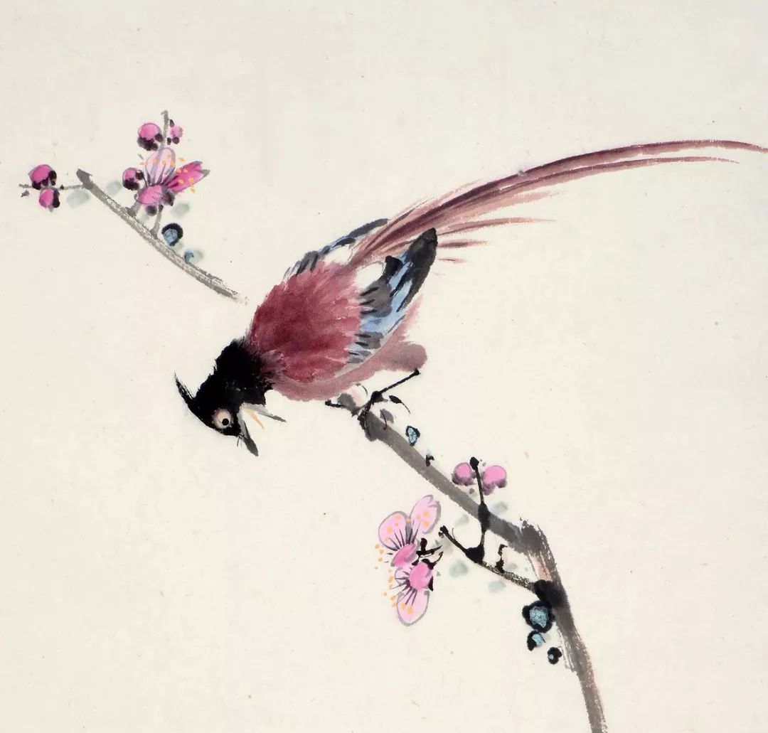 100幅禽鳥百圖，國畫鳥類美醉了！