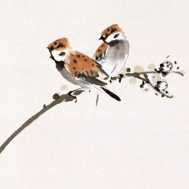100幅禽鳥百圖，國(guó)畫鳥類美醉了！