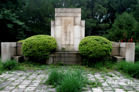 植物對(duì)墓地風(fēng)水有何影響？植物與風(fēng)水的聯(lián)系