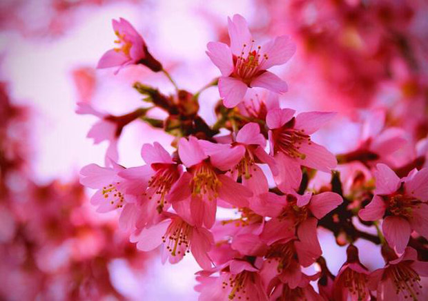廁所竟然掌管桃花運(yùn)？快來看看你的桃花運(yùn)如何