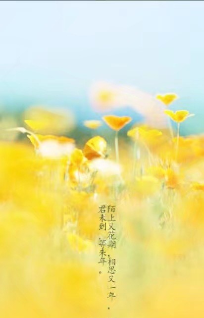 唯美帶文字古風(fēng)圖片，清新有意境古風(fēng)壁紙圖集