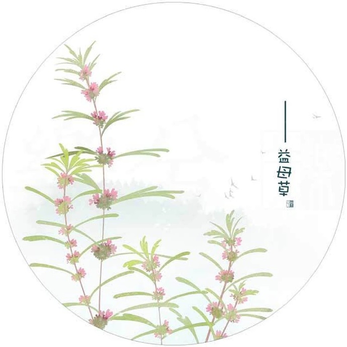 清新植物花卉插畫，可作頭像的插畫圖片
