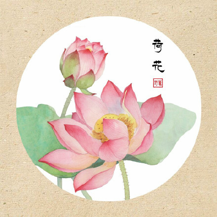 清新古風(fēng)花卉插畫，可作頭像的花卉插畫圖片