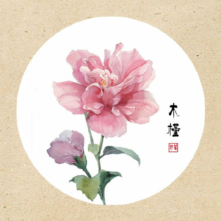 清新古風(fēng)花卉插畫，可作頭像的花卉插畫圖片