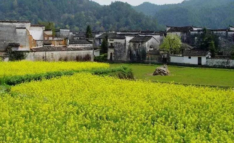8家黃山腳下最美民宿，在青山田野享受歸園田居