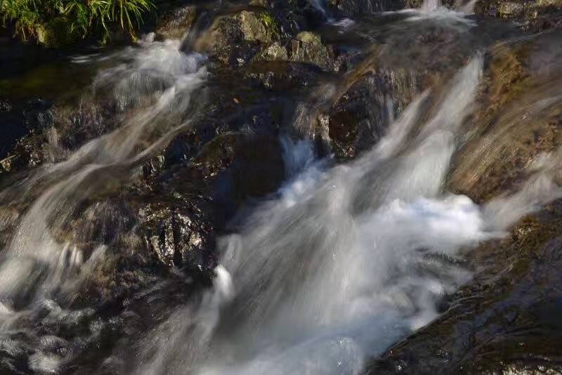 莫干山悠然九希，面朝竹海背向茶山的避暑圣地
