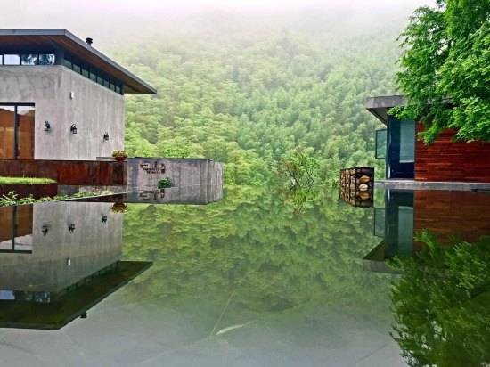 莫干山悠然九希，面朝竹海背向茶山的避暑圣地
